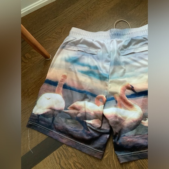 WELL KNOWN STUDIOS The Swan Family Shorts 7”  Men’s Size Large Street Wear NEW - Picture 9 of 13